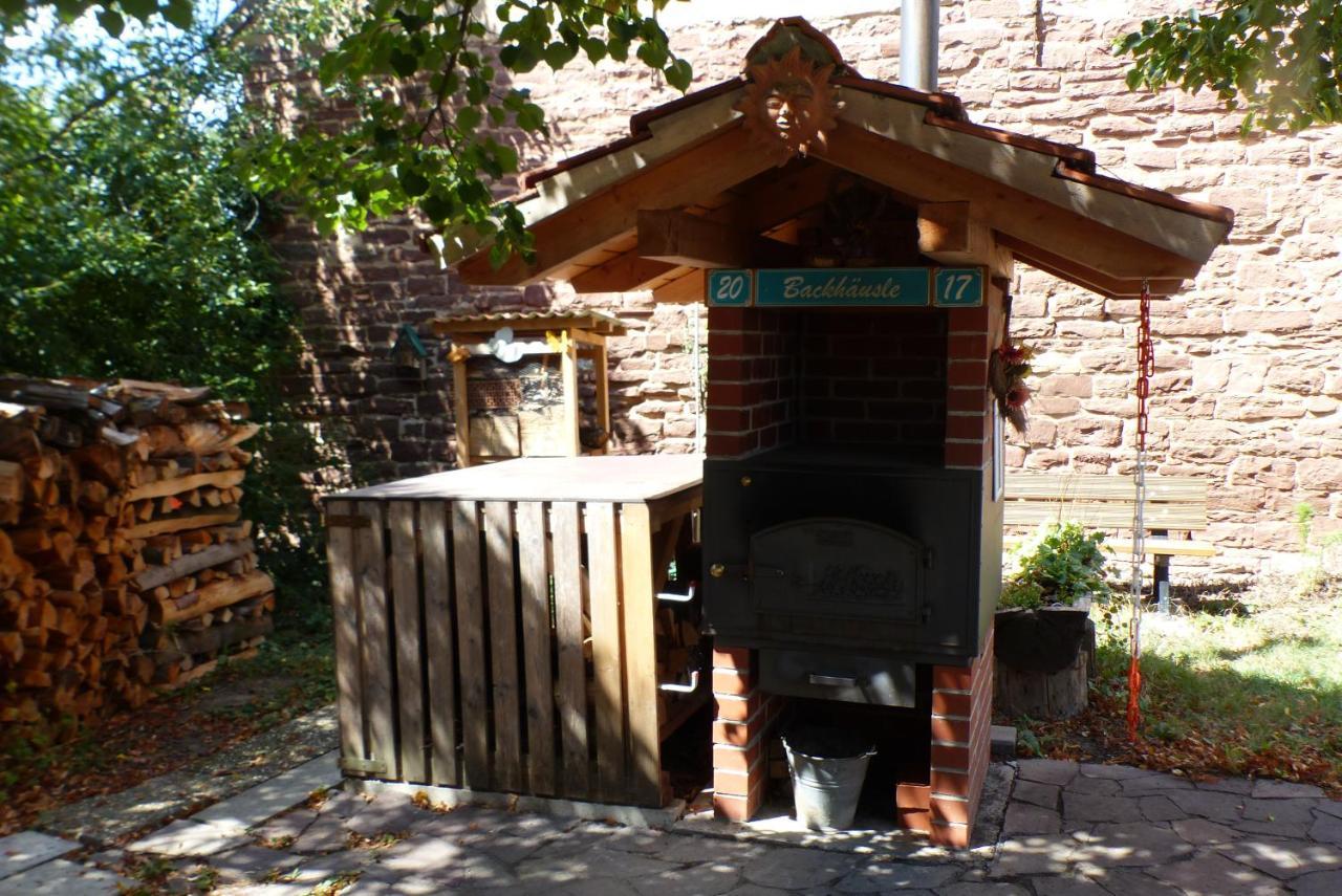 Pension Schreckhof Mosbach  Luaran gambar